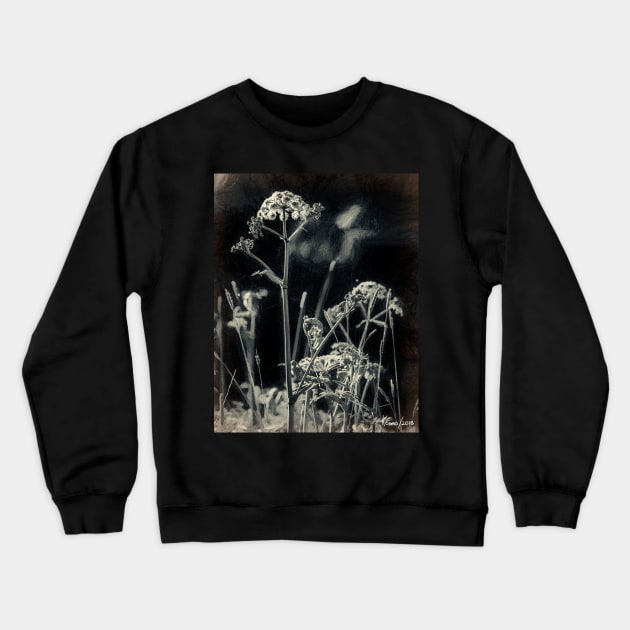 Wild Flowers & Weeds Crewneck Sweatshirt by kenmo